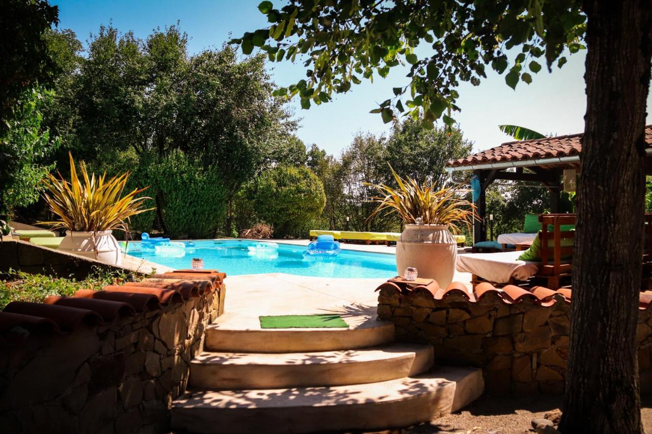 Mas Guapa Dans Le Tarn Albigeois 81 Guest house